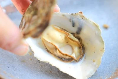 無料壁紙 牡蠣の殻を剥く光景。PCとデスクトップ壁紙に最適な4K高画質の無料壁紙。三重県三重グルメの鳥羽浦村の牡蠣で撮影したフリー写真素材