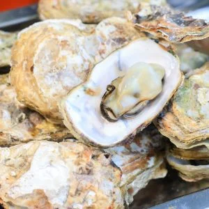 無料壁紙 焼き牡蠣が盛られた光景（１個だけ開いている）。PCとデスクトップ壁紙に最適な4K高画質の無料壁紙。三重県三重グルメの鳥羽浦村の牡蠣で撮影したフリー写真素材