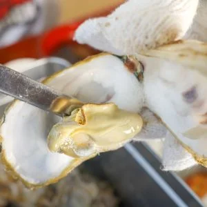 無料壁紙 焼き牡蠣を身から取る。PCとデスクトップ壁紙に最適な4K高画質の無料壁紙。三重県三重グルメの鳥羽浦村の牡蠣で撮影したフリー写真素材