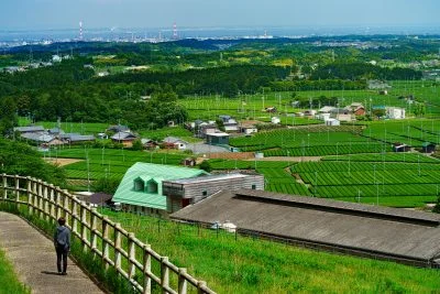 無料壁紙 【水沢茶】牧場から眺める茶畑。PCとデスクトップ壁紙に最適な4K高画質の無料壁紙。三重県四日市市の四日市ふれあい牧場で撮影したフリー写真素材