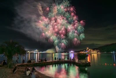 無料壁紙 青とピンクの彩色千輪菊。PCとデスクトップ壁紙に最適な4K高画質の無料壁紙。三重県鳥羽市の鳥羽みなとまつりで撮影したフリー写真素材