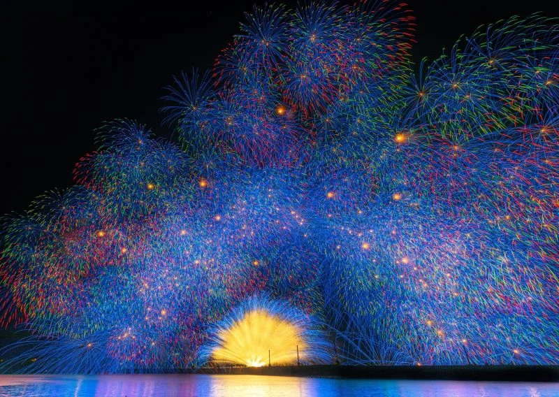 無料壁紙 2022年の彩色千輪菊（彩雲孔雀）。PCとデスクトップ壁紙に最適な4K高画質の無料壁紙。三重県紀北町のきほく燈籠祭で撮影したフリー写真素材