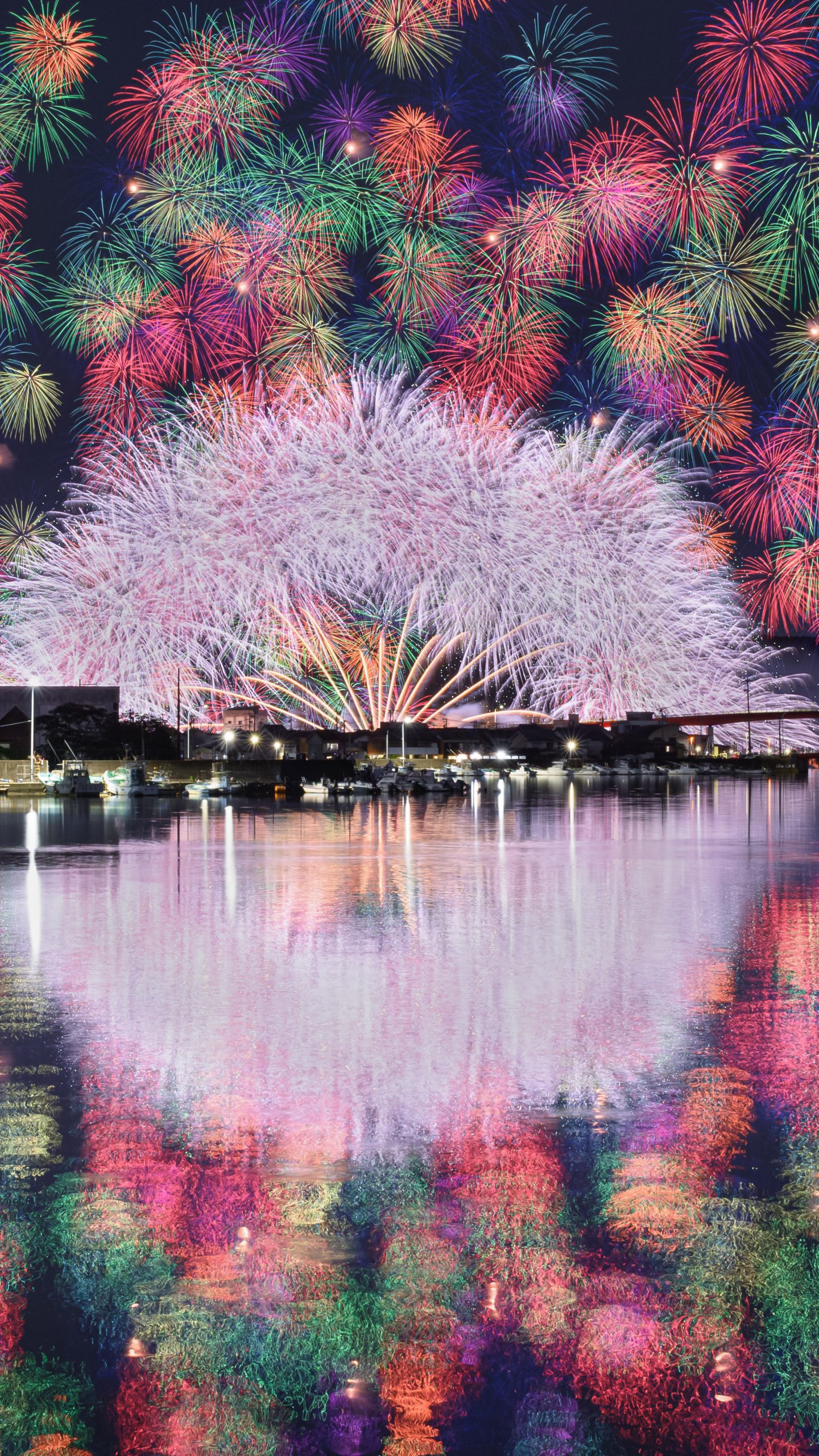 2024年の彩色千輪菊(横版)(三重県紀北町・きほく燈籠祭)