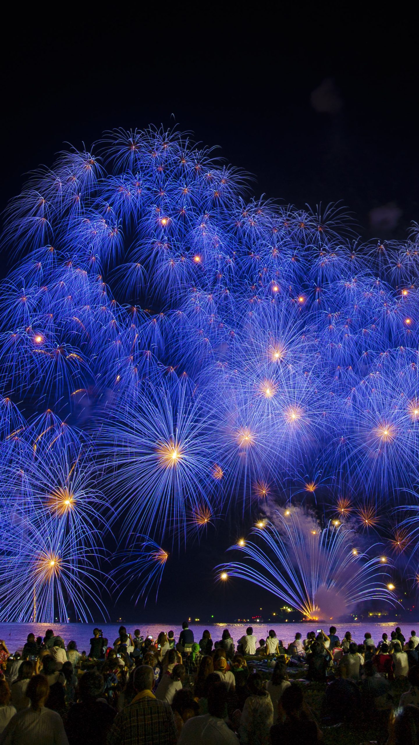 2018年の彩色千輪(三重県津市・津花火大会)