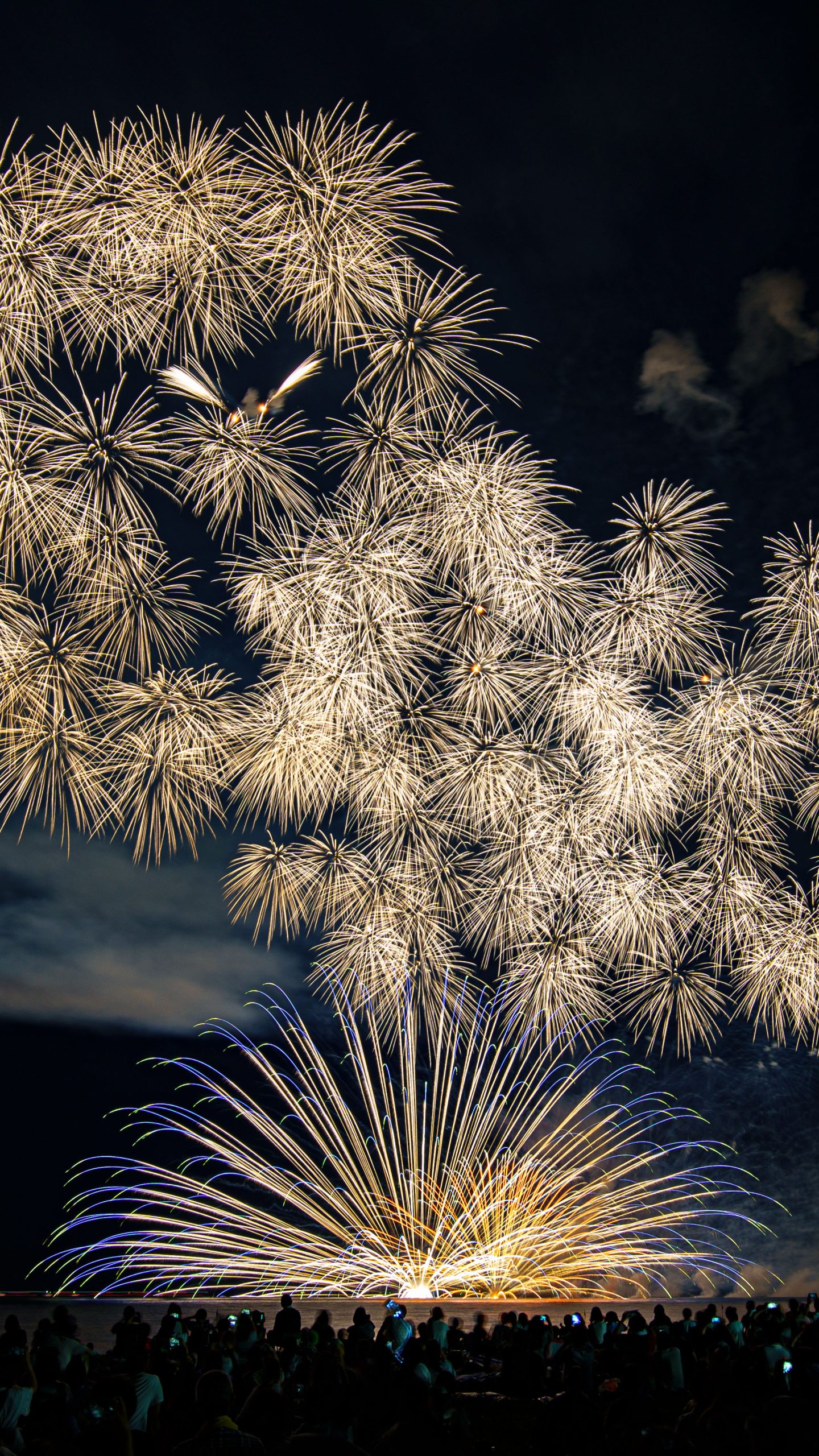 夜空を舞う孔雀(三重県津市・津花火大会)