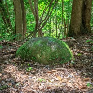 無料壁紙 かつて運動場だった場所にある跳び箱の石。PCとデスクトップ壁紙に最適な4K高画質の無料壁紙。三重県尾鷲市の盛松で撮影したフリー写真素材