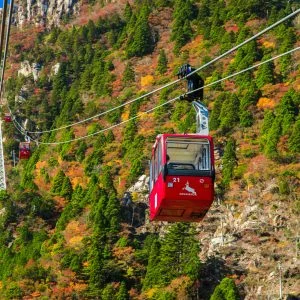無料壁紙 赤いゴンドラと紅葉。PCとデスクトップ壁紙に最適な4K高画質の無料壁紙。三重県菰野町の御在所ロープウエイで撮影したフリー写真素材