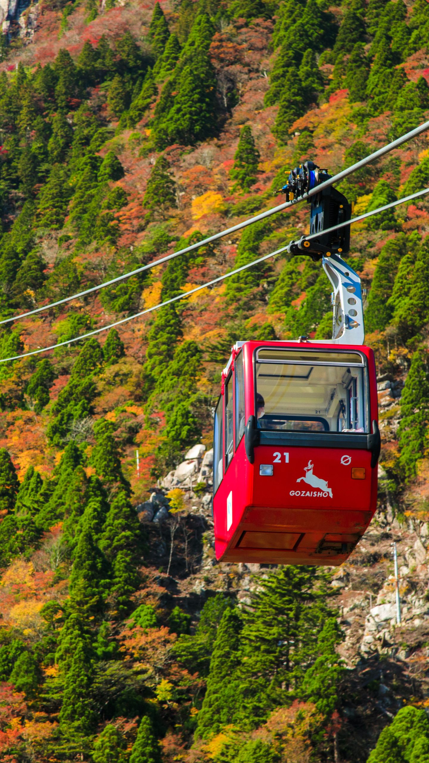 赤いゴンドラと紅葉(三重県菰野町・御在所ロープウエイ)