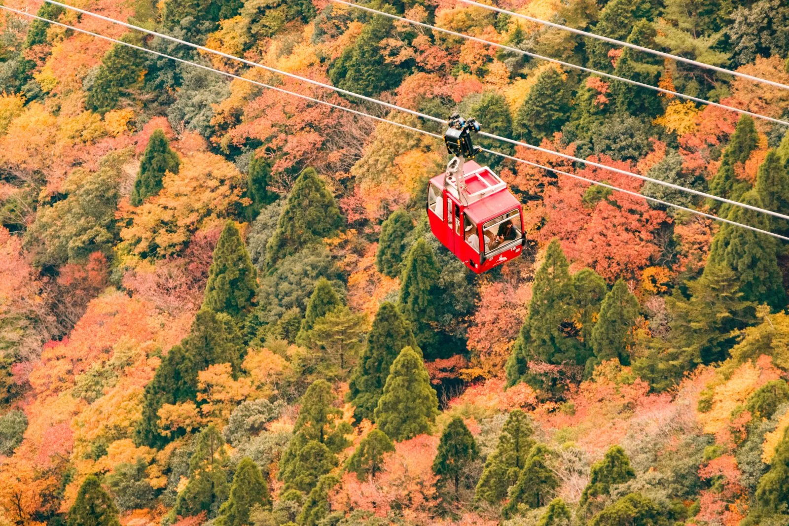 無料壁紙 空中散歩で紅葉狩り。PCとデスクトップ壁紙に最適な4K高画質の無料壁紙。三重県菰野町の御在所ロープウエイで撮影したフリー写真素材