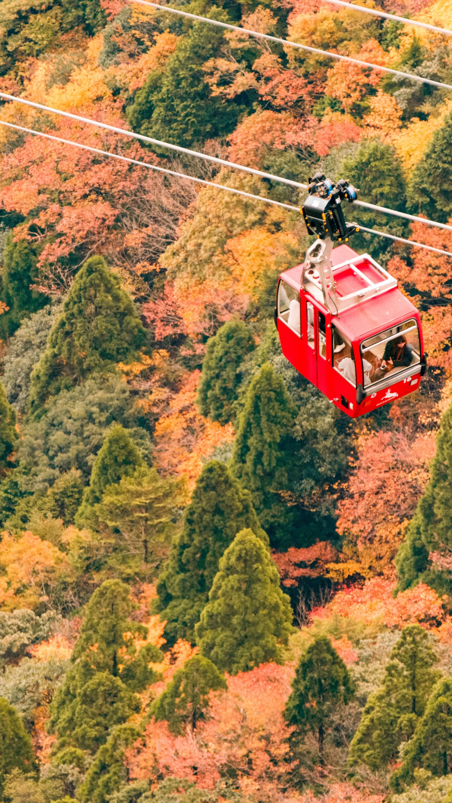 無料壁紙 空中散歩で紅葉狩り。PCとデスクトップ壁紙に最適な4K高画質の無料壁紙。三重県菰野町の御在所ロープウエイで撮影したフリー写真素材
