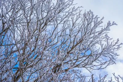 無料壁紙 樹氷と白銀の世界。PCとデスクトップ壁紙に最適な4K高画質の無料壁紙。三重県菰野町の御在所ロープウエイで撮影したフリー写真素材