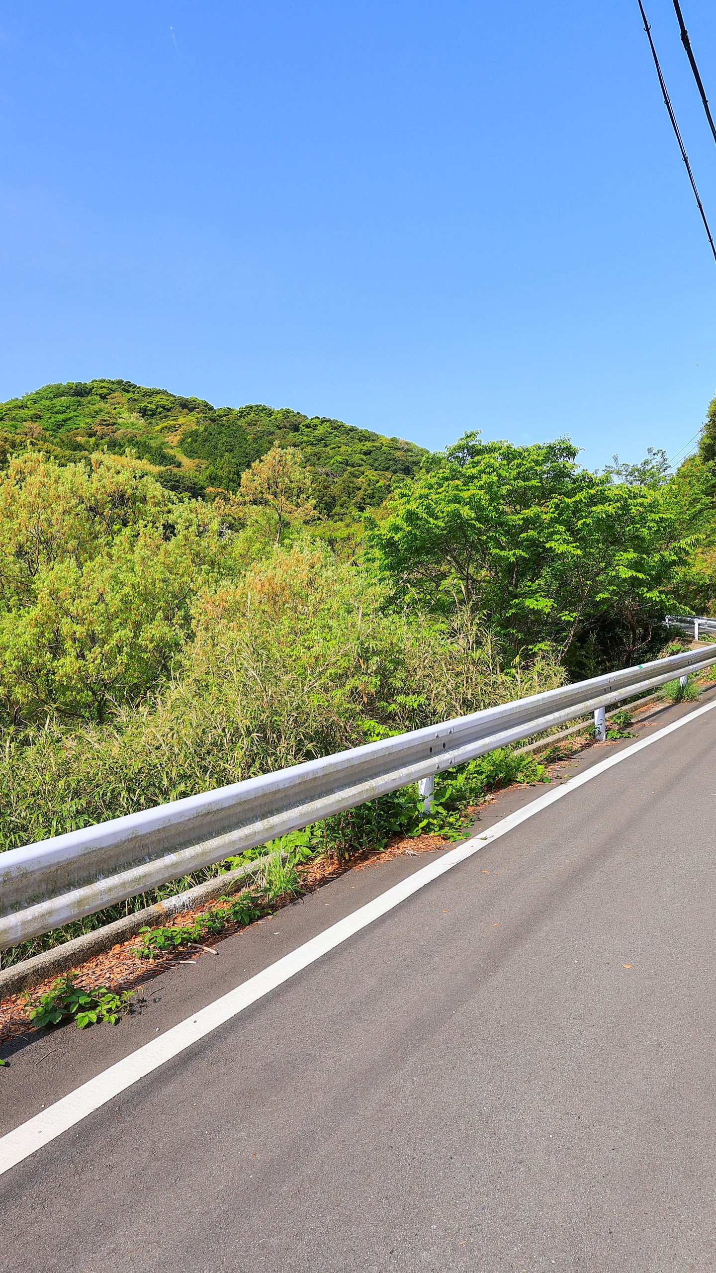 答志島スカイライン(三重県鳥羽市)