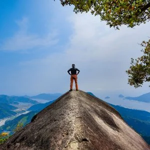 象の背のフリー写真素材