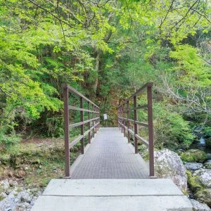 無料壁紙 駐車場から遊歩道に掛かる橋。PCとデスクトップ壁紙に最適な4K高画質の無料壁紙。三重県大紀町の八重谷湧水で撮影したフリー写真素材