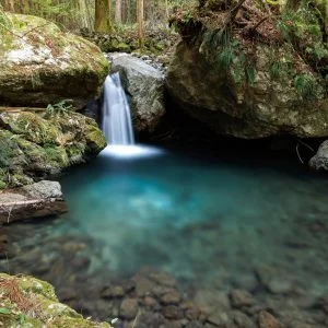 八重谷湧水のフリー写真素材
