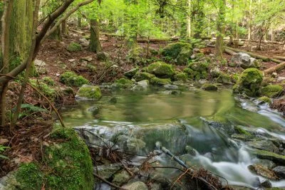 無料壁紙 川のはじまり地点。PCとデスクトップ壁紙に最適な4K高画質の無料壁紙。三重県大紀町の八重谷湧水で撮影したフリー写真素材