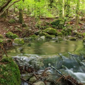 無料壁紙 川のはじまり地点。PCとデスクトップ壁紙に最適な4K高画質の無料壁紙。三重県大紀町の八重谷湧水で撮影したフリー写真素材