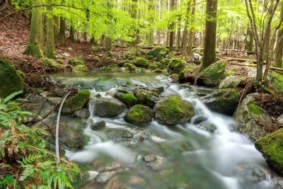 無料壁紙 湧水近くの川の流れ。PCとデスクトップ壁紙に最適な4K高画質の無料壁紙。三重県大紀町の八重谷湧水で撮影したフリー写真素材