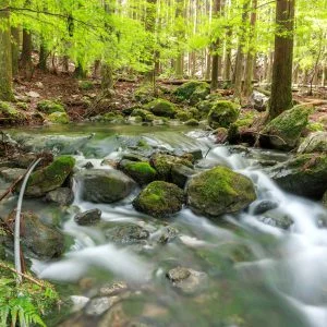 無料壁紙 湧水近くの川の流れ。PCとデスクトップ壁紙に最適な4K高画質の無料壁紙。三重県大紀町の八重谷湧水で撮影したフリー写真素材