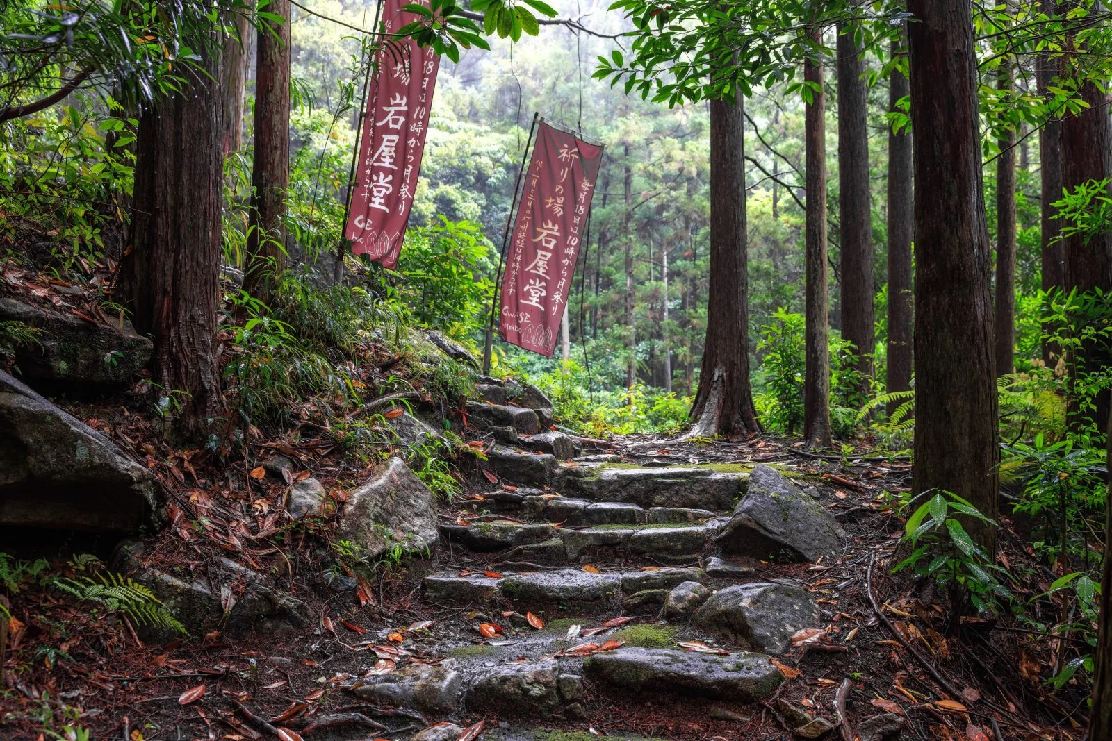 無料壁紙 岩屋堂の入口にある石畳。PCとデスクトップ壁紙に最適な4K高画質の無料壁紙。三重県尾鷲市の岩屋堂で撮影したフリー写真素材