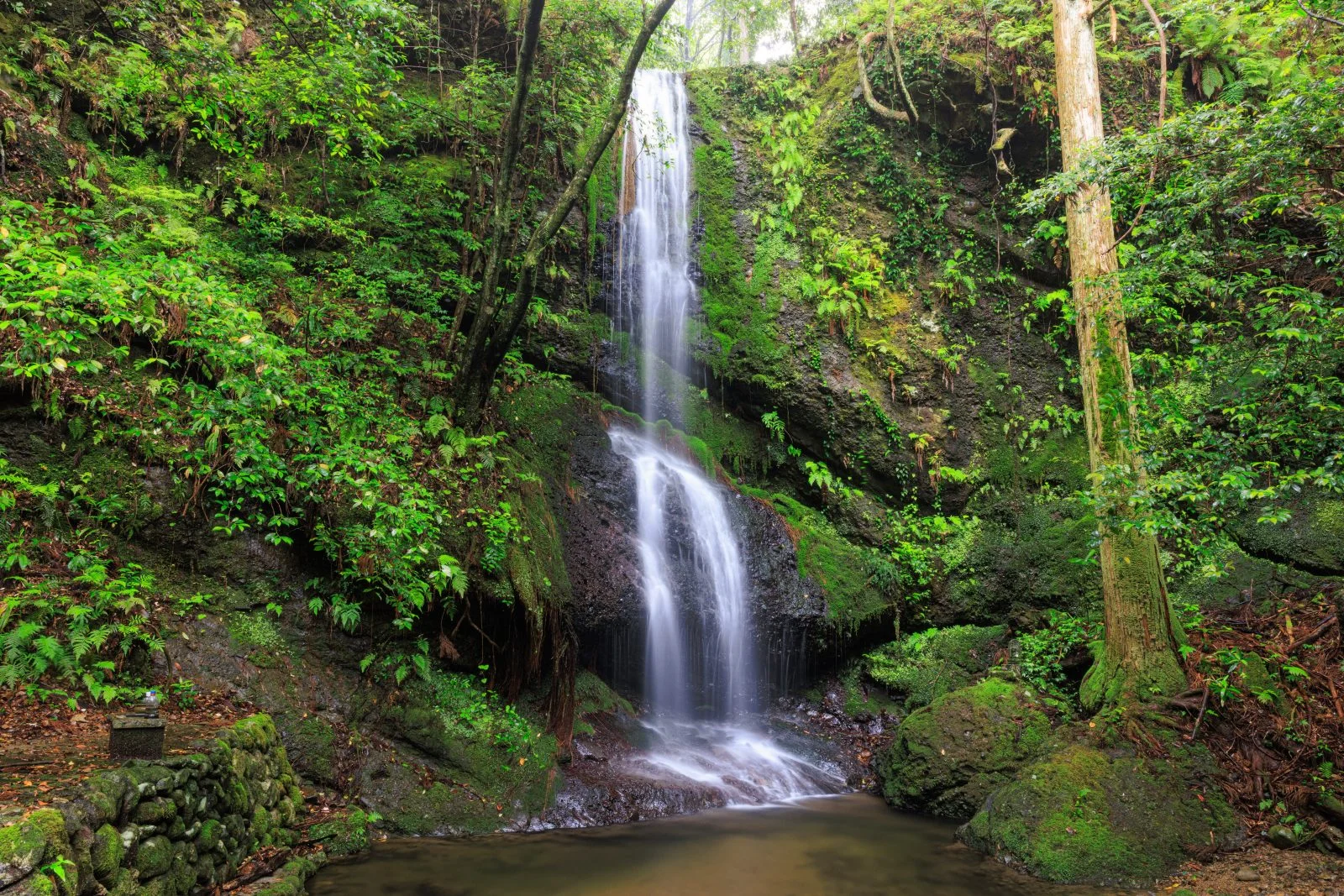 無料壁紙 雨の日のしっとり滝。PCとデスクトップ壁紙に最適な4K高画質の無料壁紙。三重県尾鷲市の村嶋不動滝で撮影したフリー写真素材