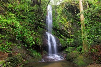 無料壁紙 雨の日のしっとり滝。PCとデスクトップ壁紙に最適な4K高画質の無料壁紙。三重県尾鷲市の村嶋不動滝で撮影したフリー写真素材