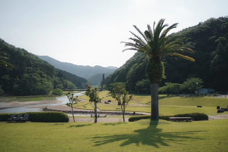 無料壁紙 海沿いの芝生とヤシの木。PCとデスクトップ壁紙に最適な4K高画質の無料壁紙。三重県紀北町の大白公園で撮影したフリー写真素材