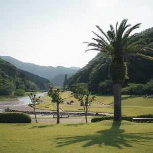 大白公園のフリー写真素材