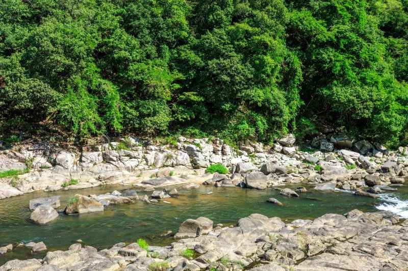 無料壁紙 川沿いの遊歩道から眺める木津川。PCとデスクトップ壁紙に最適な4K高画質の無料壁紙。三重県伊賀市の岩倉峡公園で撮影したフリー写真素材