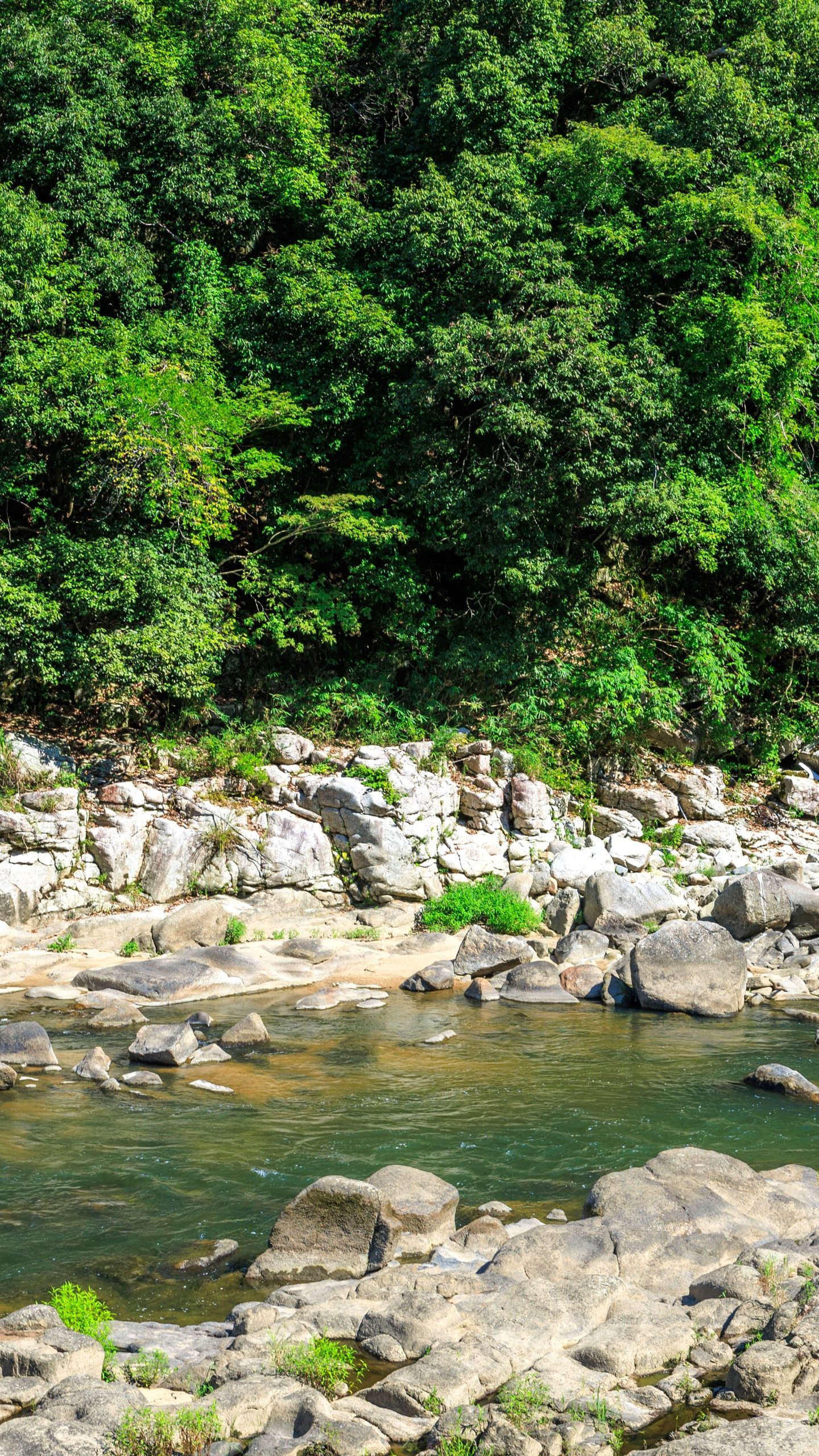 無料壁紙 川沿いの遊歩道から眺める木津川。PCとデスクトップ壁紙に最適な4K高画質の無料壁紙。三重県伊賀市の岩倉峡公園で撮影したフリー写真素材