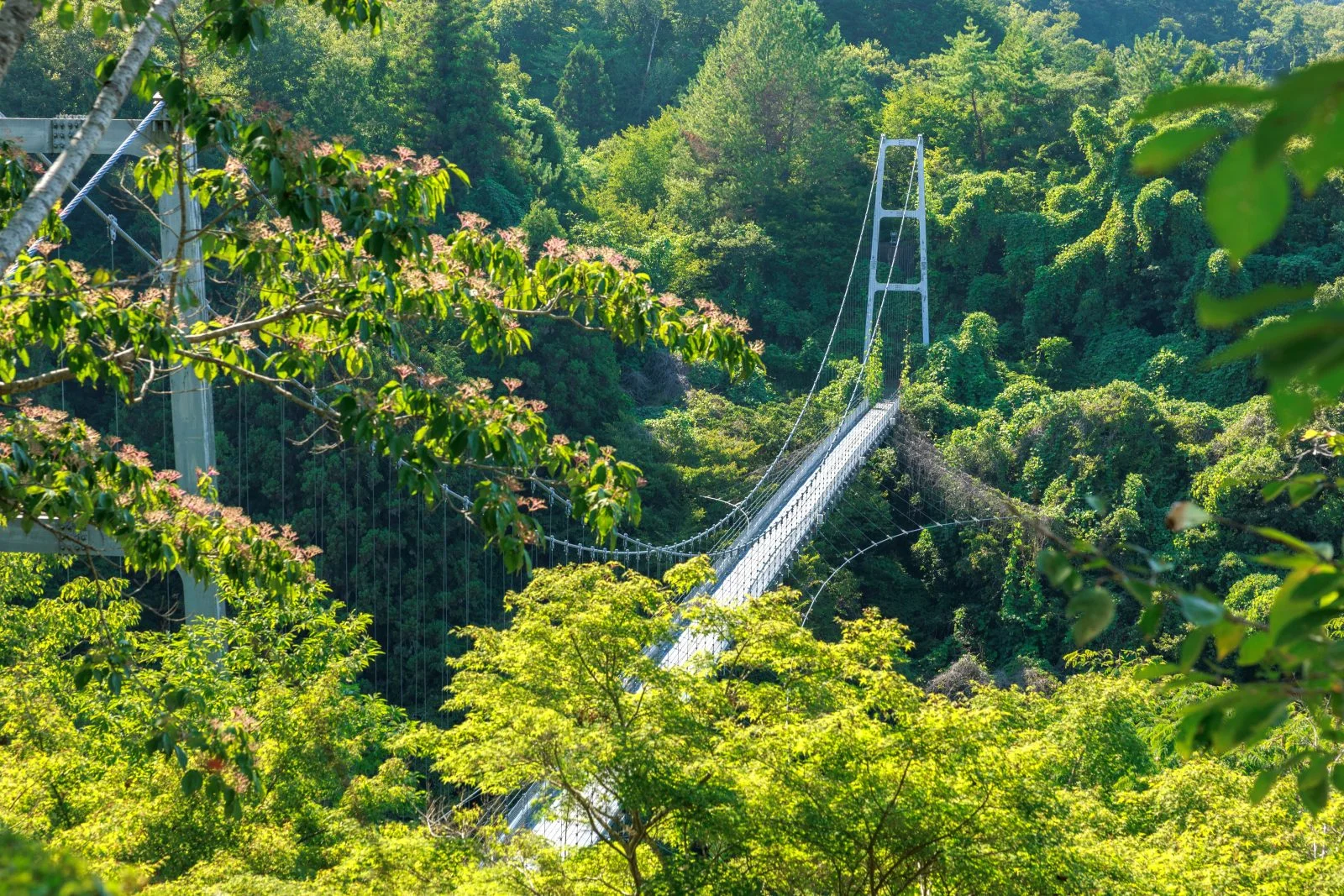 無料壁紙 体験学習の丘の見晴台から眺める岩倉峡しあん橋。PCとデスクトップ壁紙に最適な4K高画質の無料壁紙。三重県伊賀市の岩倉峡公園で撮影したフリー写真素材