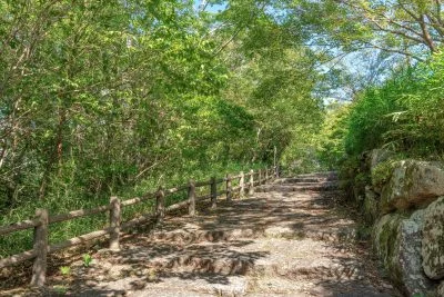 無料壁紙 体験学習の丘へと続く遊歩道。PCとデスクトップ壁紙に最適な4K高画質の無料壁紙。三重県伊賀市の岩倉峡公園で撮影したフリー写真素材