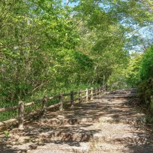 無料壁紙 体験学習の丘へと続く遊歩道。PCとデスクトップ壁紙に最適な4K高画質の無料壁紙。三重県伊賀市の岩倉峡公園で撮影したフリー写真素材