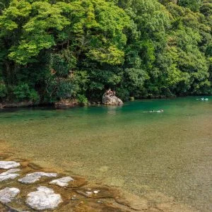 無料壁紙 浅瀬で遊べる川遊びエリア_遊ぶ人が多い様子（内宮A4駐車場近く）。PCとデスクトップ壁紙に最適な4K高画質の無料壁紙。三重県伊勢市の五十鈴川で撮影したフリー写真素材