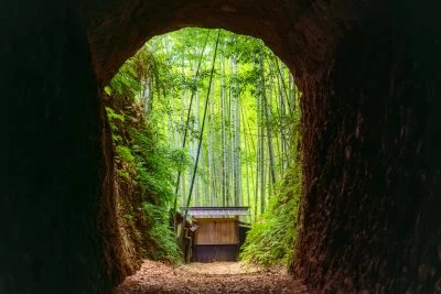 無料壁紙 トンネルの先に竹林。PCとデスクトップ壁紙に最適な4K高画質の無料壁紙。三重県尾鷲市の土井竹林で撮影したフリー写真素材