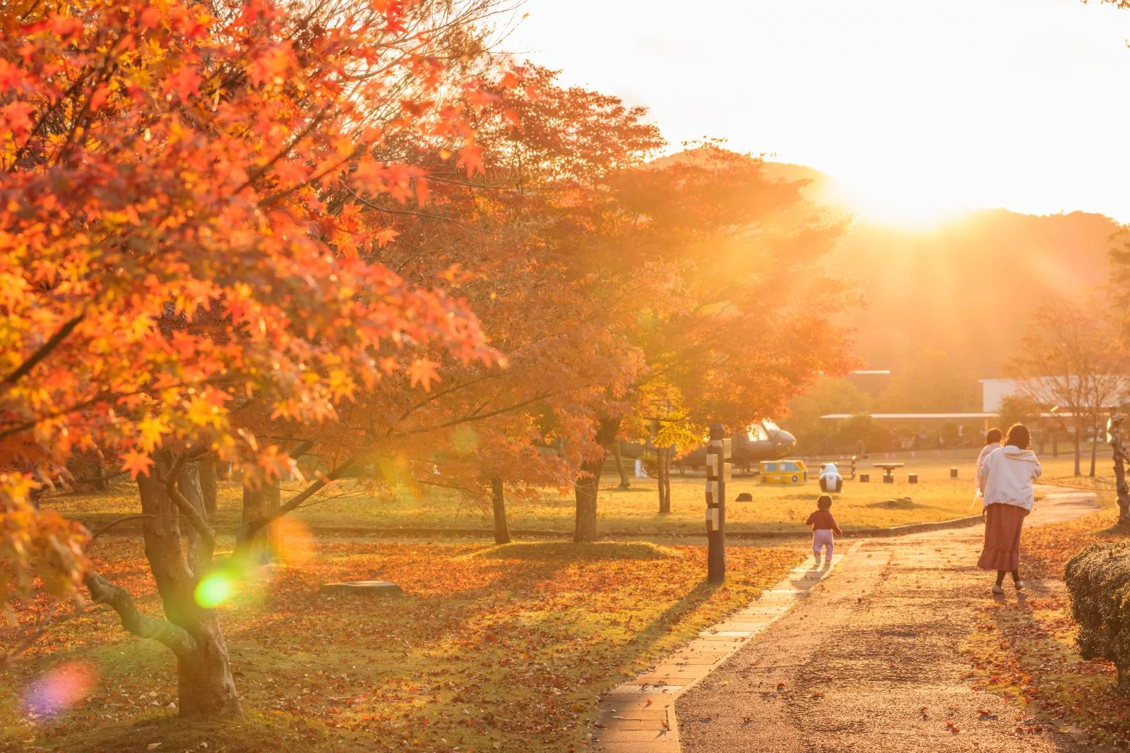 無料壁紙 西陽がさす遊歩道と紅葉と親子。PCとデスクトップ壁紙に最適な4K高画質の無料壁紙。三重県度会町の宮リバー度会パークで撮影したフリー写真素材