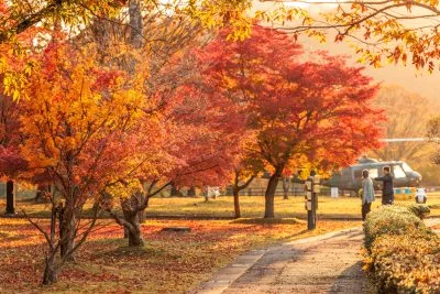 無料壁紙 西陽で赤く染まる紅葉。PCとデスクトップ壁紙に最適な4K高画質の無料壁紙。三重県度会町の宮リバー度会パークで撮影したフリー写真素材