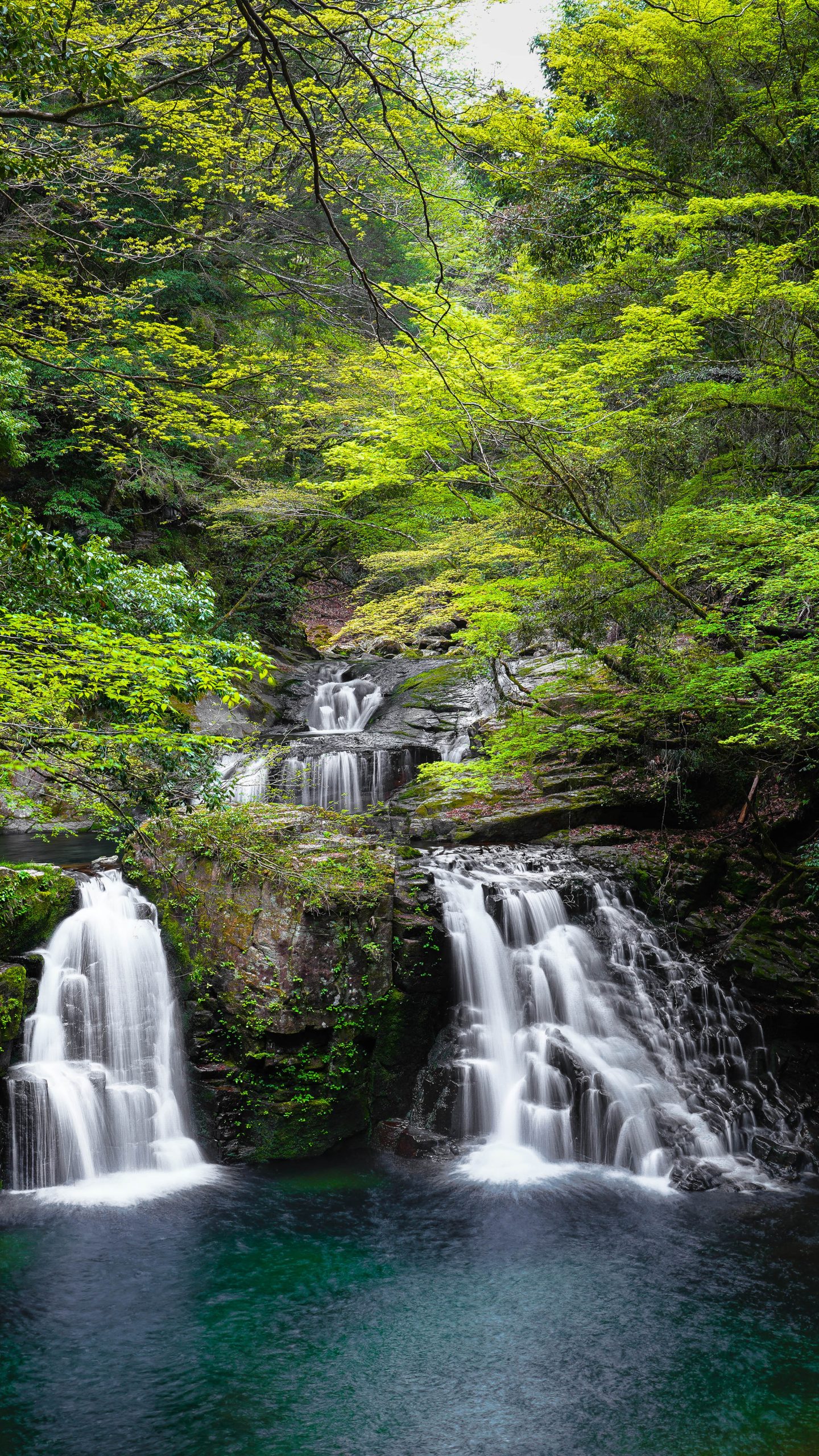 新緑の荷担滝(三重県名張市・赤目四十八滝)