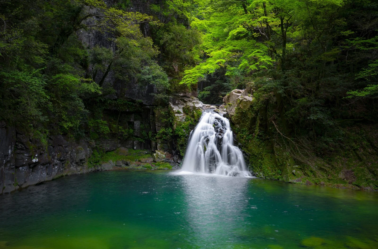 無料壁紙 緑一色。PCとデスクトップ壁紙に最適な4K高画質の無料壁紙。三重県名張市の赤目四十八滝で撮影したフリー写真素材