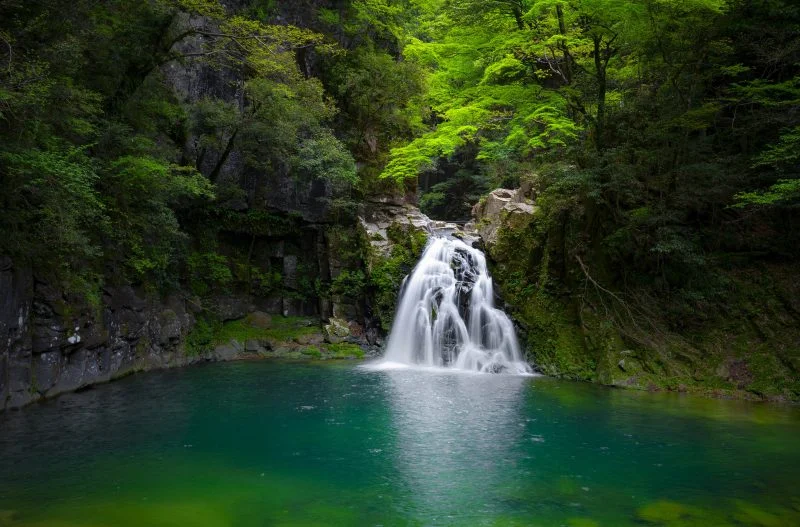 無料壁紙 緑一色。PCとデスクトップ壁紙に最適な4K高画質の無料壁紙。三重県名張市の赤目四十八滝で撮影したフリー写真素材