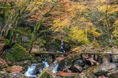 無料壁紙 紅葉する登山道。PCとデスクトップ壁紙に最適な4K高画質の無料壁紙。三重県名張市の赤目四十八滝で撮影したフリー写真素材