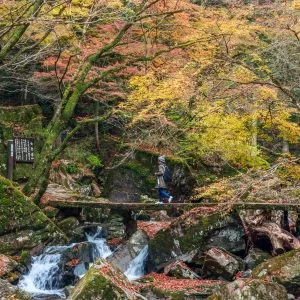 無料壁紙 紅葉する登山道。PCとデスクトップ壁紙に最適な4K高画質の無料壁紙。三重県名張市の赤目四十八滝で撮影したフリー写真素材