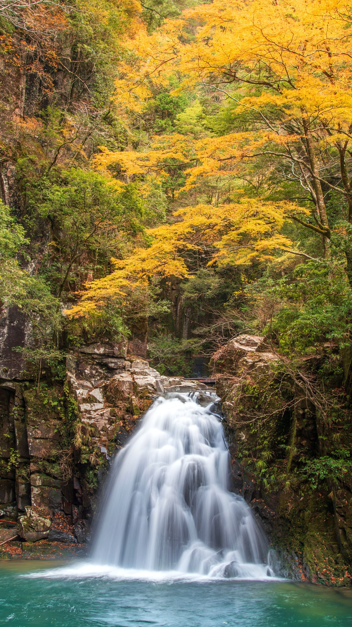 無料壁紙 紅葉する千手滝。PCとデスクトップ壁紙に最適な4K高画質の無料壁紙。三重県名張市の赤目四十八滝で撮影したフリー写真素材