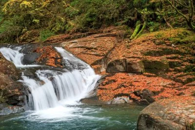 無料壁紙 小さな滝と紅葉のじゅうたん。PCとデスクトップ壁紙に最適な4K高画質の無料壁紙。三重県名張市の赤目四十八滝で撮影したフリー写真素材