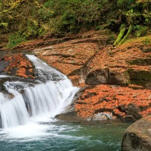 無料壁紙 小さな滝と紅葉のじゅうたん。PCとデスクトップ壁紙に最適な4K高画質の無料壁紙。三重県名張市の赤目四十八滝で撮影したフリー写真素材