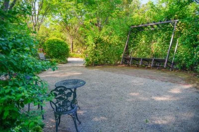 無料壁紙 まるで外国の森。PCとデスクトップ壁紙に最適な4K高画質の無料壁紙。三重県津市の赤塚シャクナゲガーデンで撮影したフリー写真素材