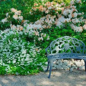 無料壁紙 花とレトロなベンチ。PCとデスクトップ壁紙に最適な4K高画質の無料壁紙。三重県津市の赤塚シャクナゲガーデンで撮影したフリー写真素材