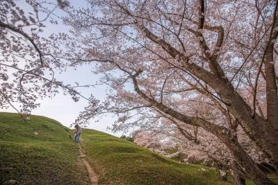 無料壁紙 古墳でお散歩。PCとデスクトップ壁紙に最適な4K高画質の無料壁紙。三重県津市の明合古墳で撮影したフリー写真素材