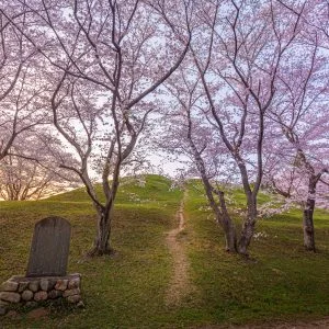 明合古墳のフリー素材・壁紙