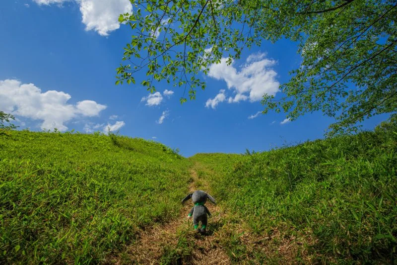 無料壁紙 兎の助、古墳を歩く。PCとデスクトップ壁紙に最適な4K高画質の無料壁紙。三重県津市の明合古墳で撮影したフリー写真素材